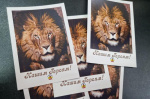 Барнаульский зоопарк и школьники лицея №121 направят открытки алтайским военнослужащим 