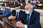 Депутаты АКЗС готовят законодательную инициативу в Госдуму для решения проблемы бродячих собак