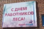 «Алтай – Форест»: переработка древесины «от корня» до готовой продукции