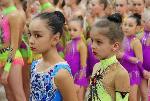Соревнования по художественной гимнастике открылись в Барнауле