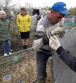 «Никто не забыт, ничто не забыто»: депутаты ЛДПР помогли поставить памятник на могиле солдата 