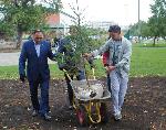 Депутаты «Единой России» посадили деревья в честь дня рождения краевой столицы