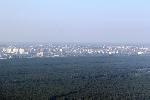 Вопрос по ленточному бору Алтая - на контроле у федерального министра 