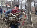 Депутаты и аппарат АКЗС приняли участие в общегородском субботнике 