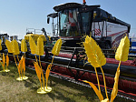 День Сибирского поля - 2024