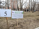 Депутаты и аппарат АКЗС приняли участие в общегородском субботнике 