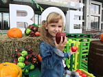 В Барнауле прошли фестиваль фермерской продукции «Своё» и гастрофестиваль «День мясного гурмана»